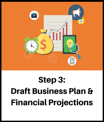 Draft Business Plan and Financial Projections