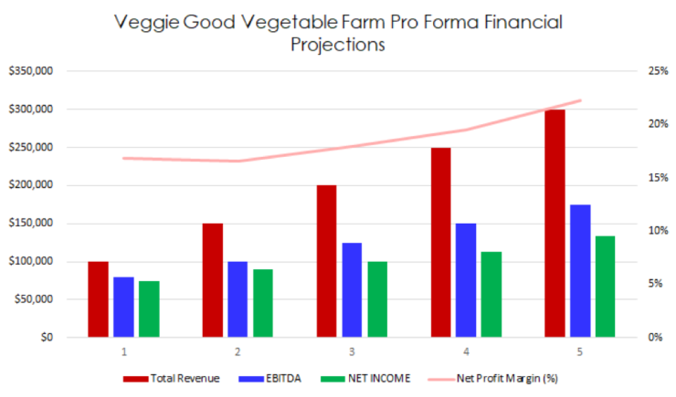 pro forma financial projections for Veggie Good Vegetable Farm