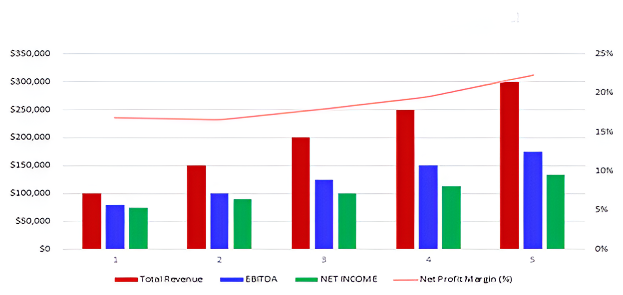 Cyber Guardian Pro Forma Projections